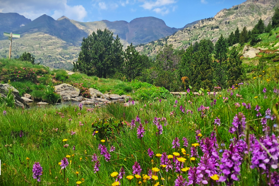 THE LAKES AND VALLEYS OF ANDORRA
