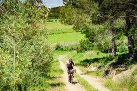 Day 2: Olot to Banyoles — Volcanoes, Forests, and Medieval Stones
